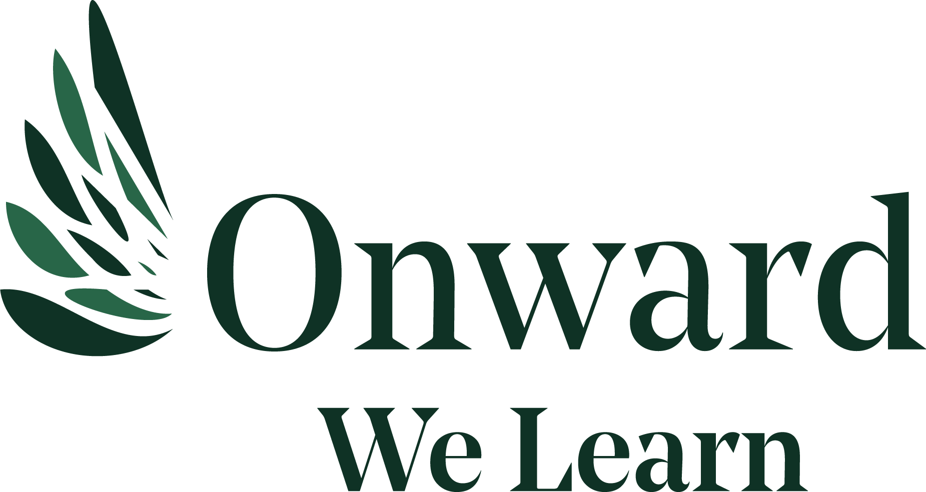 Onward We Learn